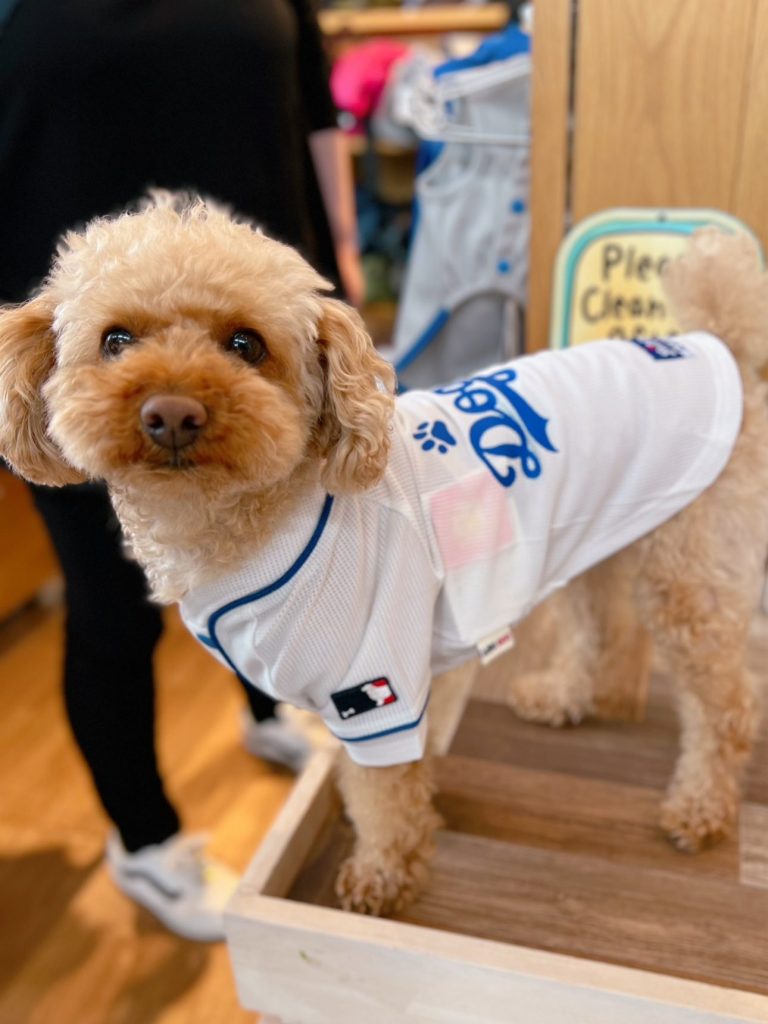 スポーツロゴメッシュユニフォーム☆