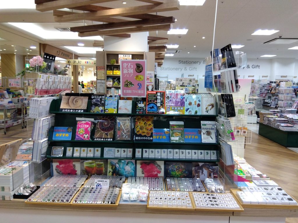 化石・鉱物フェア開催中！