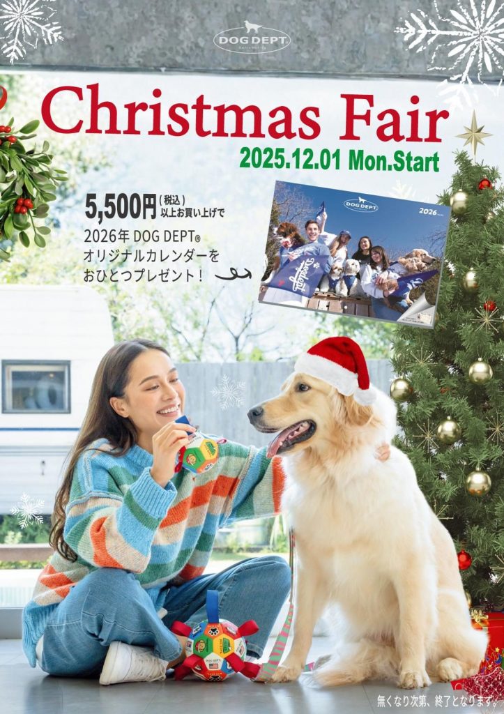 CHRISTMAS FAIR☆