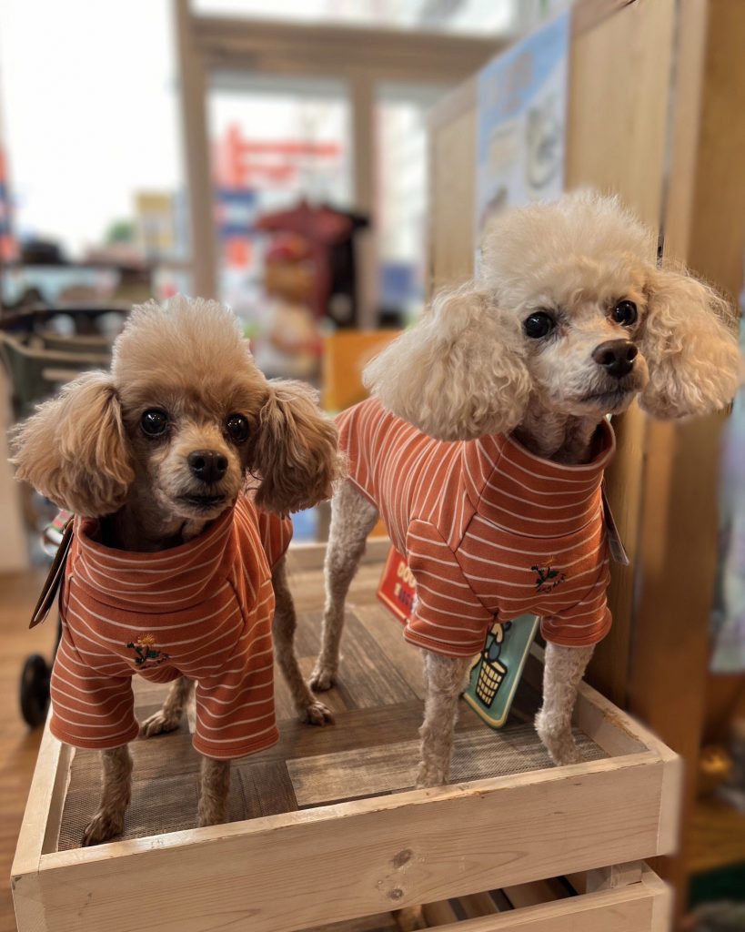 DウォームハイネックボーダーロンT♡