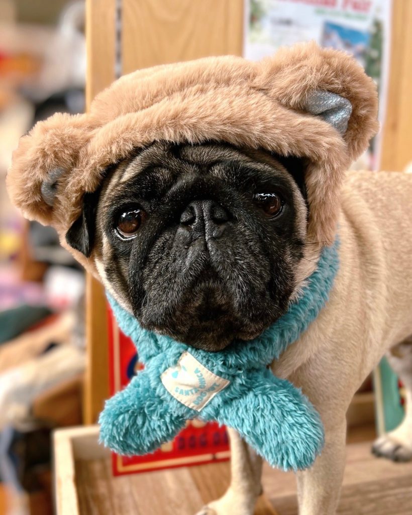 マフラー付きファー帽子☆