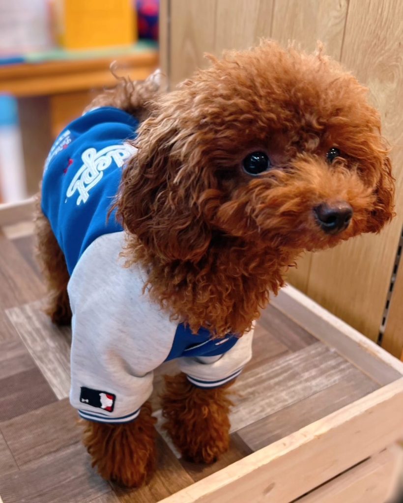 スポーツロゴラグランボタンスウェット☆