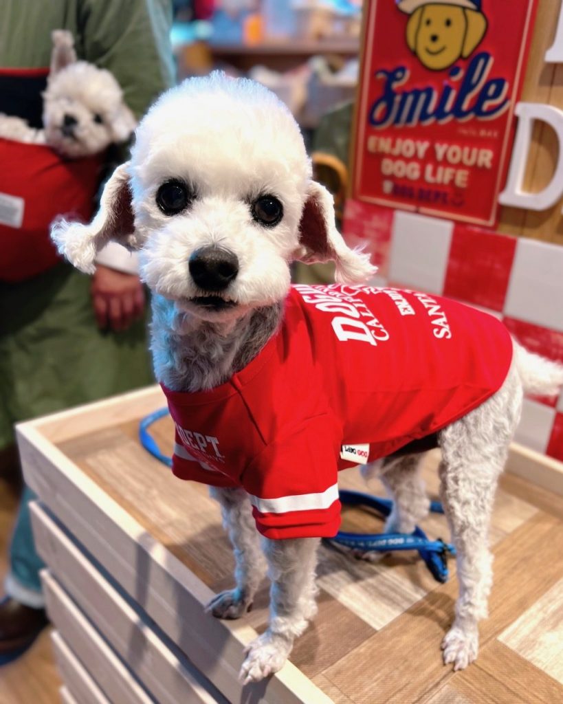 ロゴ＆ナンバーTシャツ☆