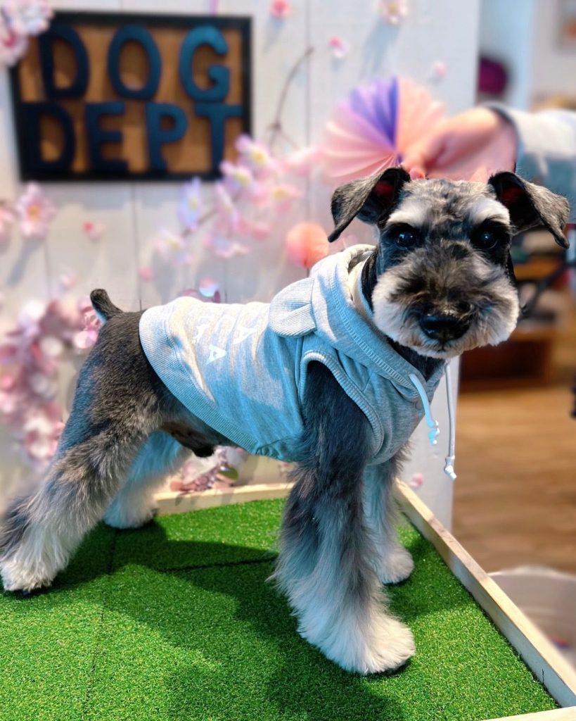 スウェットボタンパーカー☆