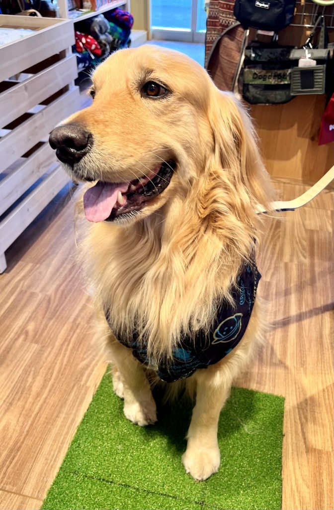 HELLO.MAX総柄ロゴボタンパーカー♪